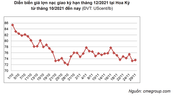 Bản tin thị trường thịt trong nước và quốc tế tháng 11.2021