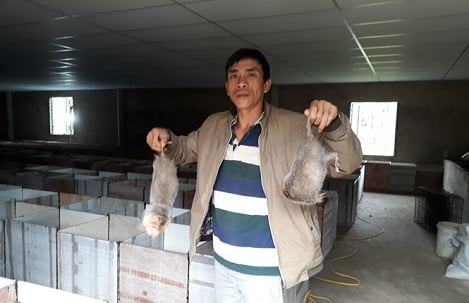 Đáng nể người nuôi đàn dúi 4000 con, thu 6 tỷ đồng/năm