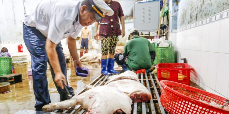 Thiếu chính sách hấp dẫn, Khánh Hòa chưa có cơ sở giết mổ tập trung