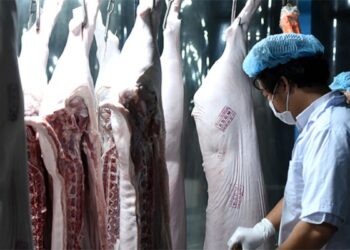 Hà Nội: Có 726 cơ sở giết mổ gia súc, gia cầm 