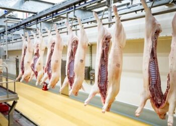 Tp. Hồ Chí Minh: Có 07 cơ sở giết mổ gia súc, gia cầm