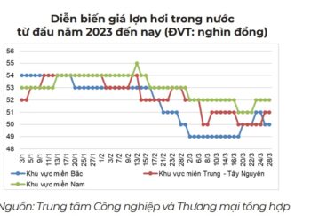 Bản tin thị trường thịt trong nước và thế giới tháng 3.2023