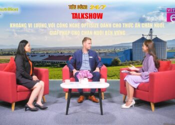 Ứng dụng khoáng vi lượng với công nghệ Optisize trong thức ăn chăn nuôi, giải pháp cho chăn nuôi bền vững