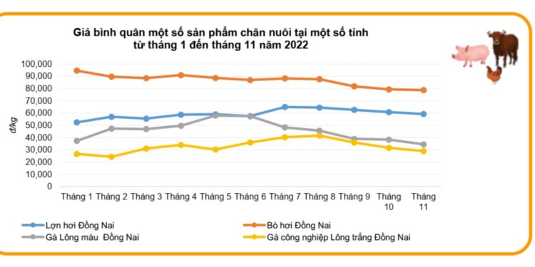 Tình hình chăn nuôi tháng 11.2022