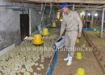 Chủng ngừa bằng phương pháp phun sương vắc xin: Nhiều ưu điểm vượt trội